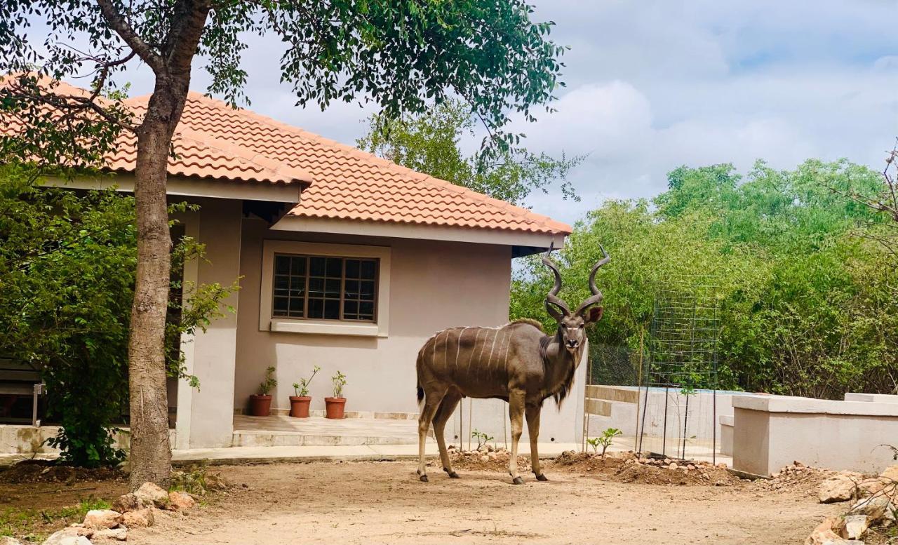 Impala Lily Villa Marloth Park Exterior photo